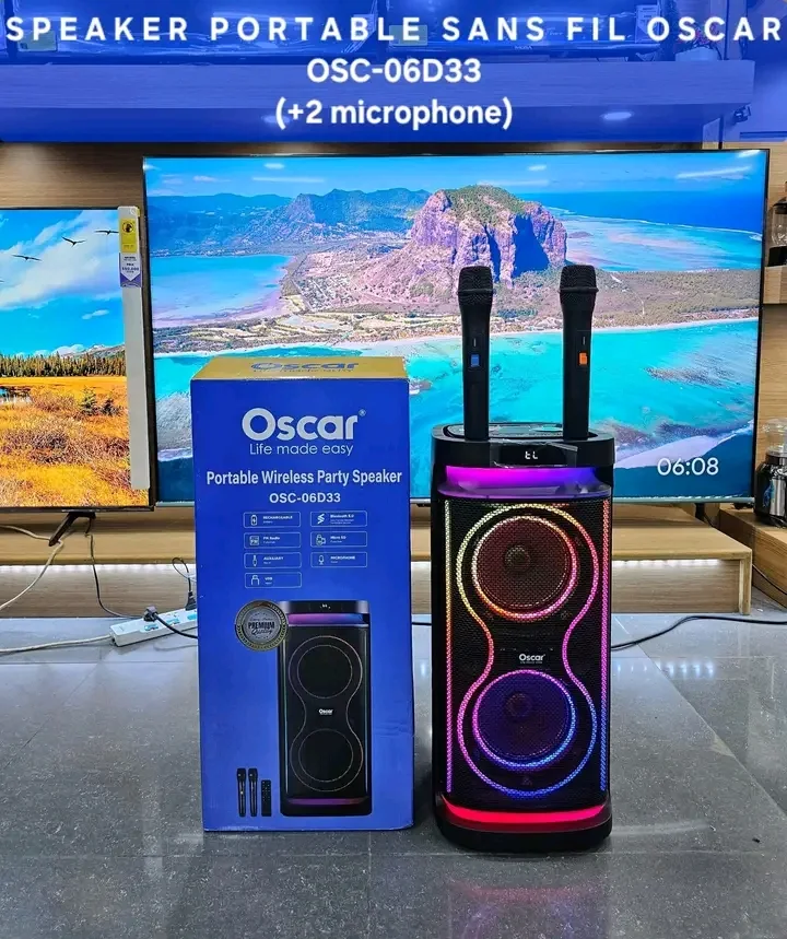 Enceinte portable Oscar OSC-06D33 + 2 microphones